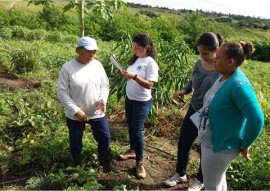 comissão de organicos da paraiba semana do organico 1 270x191 - Comissão debate produção e comercialização de algodão e prepara semana de orgânicos