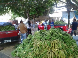 banana 270x202 - Governo do Estado lança sistema de controle de aportes do Pnae nesta quinta- feira