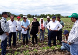 emater metodologia de ATER projeto algodao paraiba na bolivia (3)