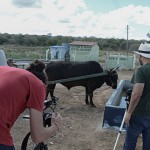 cinegrafista-DF-filma-projeto-agua-doce-pb_foto-walter-rafael-(7)portal cinegrafista-DF-filma-projeto-agua-doce-pb_foto-walter-rafael-(7)portal