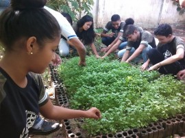 Escola Estadual de Ensino Fundamental Calula Leite Conceição 11 270x202 - Hortas enriquecem aprendizado e promovem alimentação saudável nas escolas estaduais da Paraíba