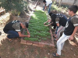 Escola Estadual de Ensino Fundamental Calula Leite Conceição 13 270x202 - Hortas enriquecem aprendizado e promovem alimentação saudável nas escolas estaduais da Paraíba