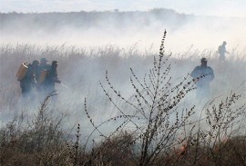 bombeiros prevenção de incendios em vegetacao (1)