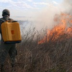 bombeiros prevenção de incendios em vegetacao (3)