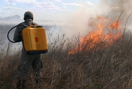 bombeiros prevenção de incendios em vegetacao (3)