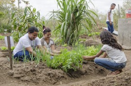 see horta escolar aumenta o aprendizado e enriquece a alimentacao dos alunos foto Diego Nobrega 11 270x178 - Hortas enriquecem aprendizado e promovem alimentação saudável nas escolas estaduais da Paraíba