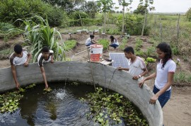 see horta escolar aumenta o aprendizado e enriquece a alimentacao dos alunos foto Diego Nobrega 2 270x178 - Hortas enriquecem aprendizado e promovem alimentação saudável nas escolas estaduais da Paraíba