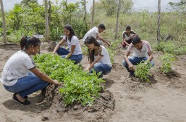 see horta escolar aumenta o aprendizado e enriquece a alimentacao dos alunos foto Diego Nobrega 3 270x178 - Hortas enriquecem aprendizado e promovem alimentação saudável nas escolas estaduais da Paraíba