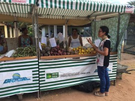 031 270x202 - Agricultores familiares comercializam produtos para turistas em Rio Tinto