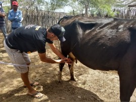 04 270x202 - Criadores do Cariri participam de cursos sobre sanidade animal e controle do leite