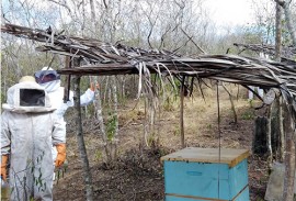 apiario alagamar_ecoprodutivo fortalece a agricultura familiar na paraíba (1)