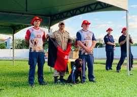 cao do Corpo de Bombeiros ganha certificacao internacional para atuar em busca de vitimas (2)