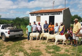 caprino de pitibira_ecoprodutivo fortalece a agricultura familiar na paraíba (3)