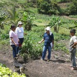 castro bomfim_ecoprodutivo fortalece a agricultura familiar na paraíba (2)