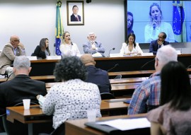 sedh Audiencia Publica em brasilia sobre o Trafico e Desaparecimento de Pessoas (1)